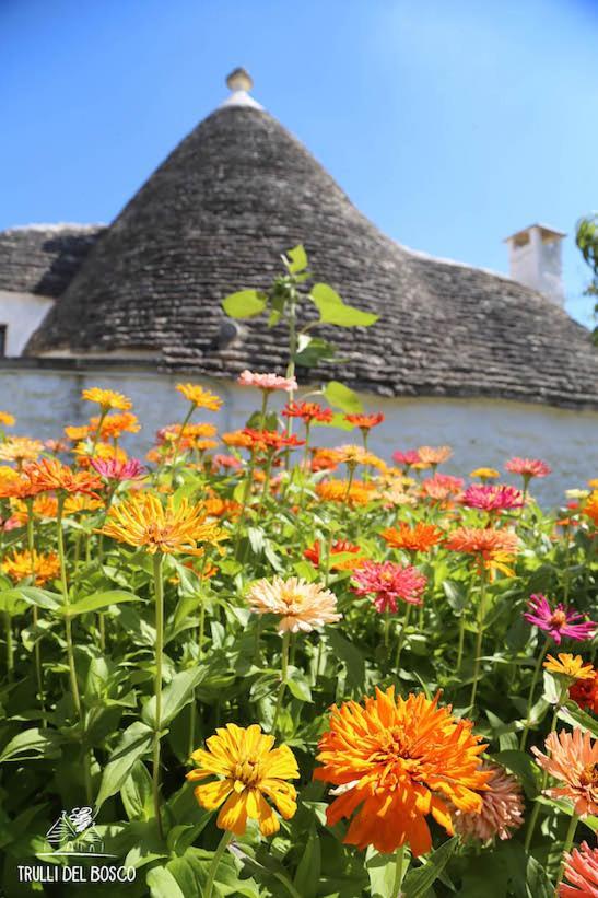 Trulli Del Bosco